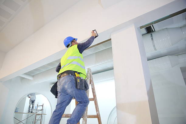 Best Post-Construction Mold Inspection  in South Floral Park, NY