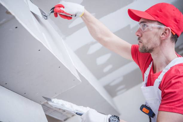 Best Environmental Consulting for Mold Prevention  in South Floral Park, NY